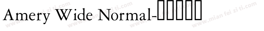 Amery Wide Normal字体转换